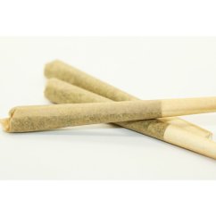 H4CBD Predzvitki 30% - 1,5 gr, 100 kos - 100.000 kos