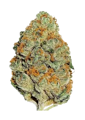 Fast Buds Cannabis Seeds Lemon Mandarin Feminized