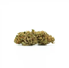 HCT Flower Ghost Train Haze 10%, 100g - 5 000g