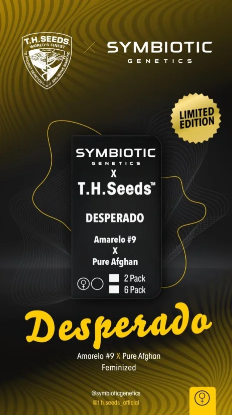 T.H.Seeds™ X Symbiotics Cannabis Seeds Desperado, feminized
