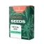 Canntropy Seeds Critical Jack (Feminized)