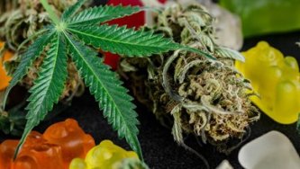 H4CBD: How to expand the offer and delight customers?