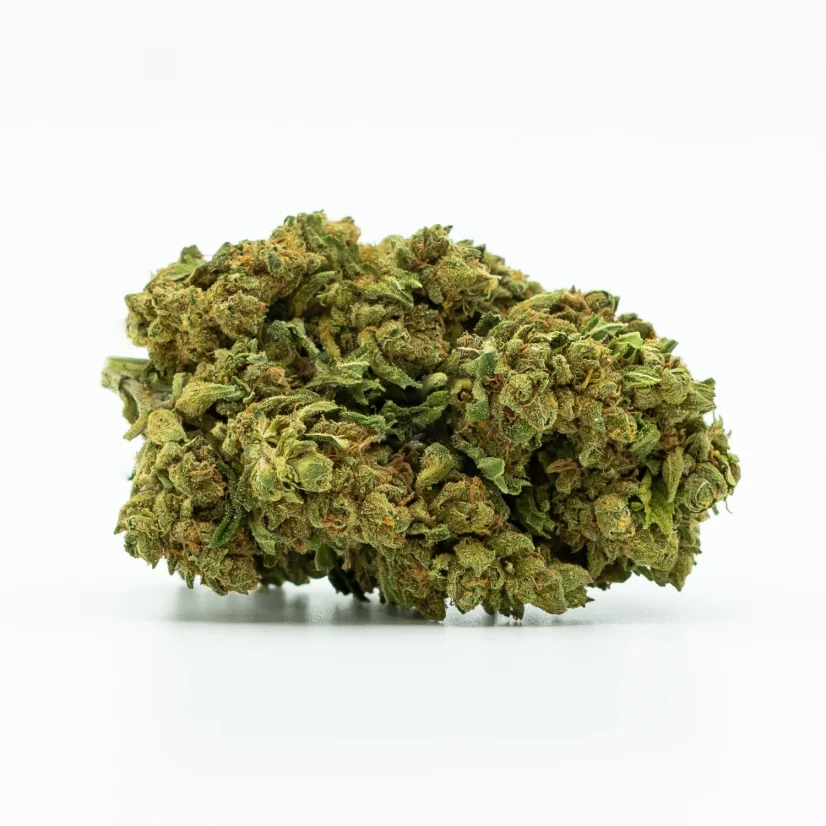 CBD Greenhouse Flower Sweet Mango 10 %, 1 g - 100 g
