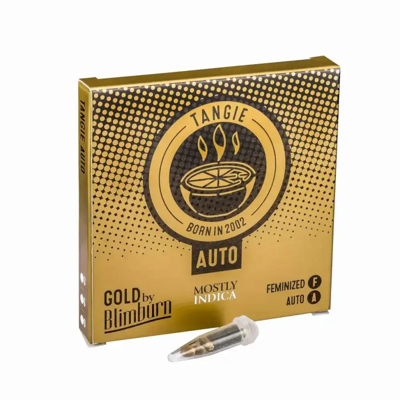 Blimburn Seeds Cannabis Seeds Tangie Auto
