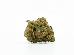 CBD Flower Greenhouse Cheese 15 % CBD, small buds, 0,2 % THC, 100 g - 10 000 g