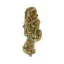 Royal Queen Seeds Cannabis Seeds Euphoria Feminized (High CBD)