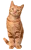 Fyrir ketti