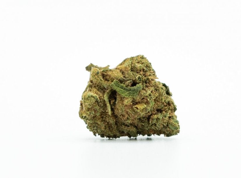 CBD Flower Greenhouse Cheese 15 % CBD, small buds, 0,2 % THC, 100 g - 10 000 g