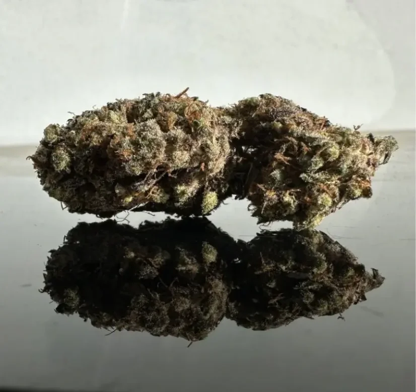 Czech CBD THCD kaņepju ziedu kāzu torte, 1 g - 1000 g