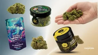 Cum să alegi florile CBD: flori în borcane, pungi, vrac și în mână, logo CanaturaWholesale în dreapta jos