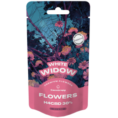 Canntropy H4CBD flower White Widow 30%, 1 g - 100 g