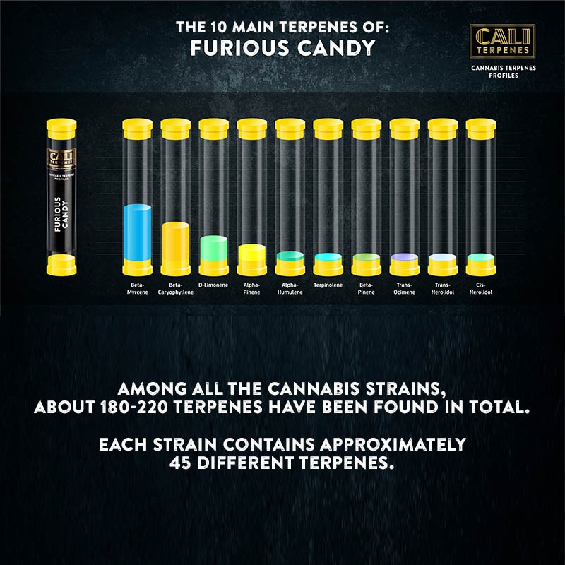 Cali Terpenes - ГЕЛАТО, 1 - 1000 мл