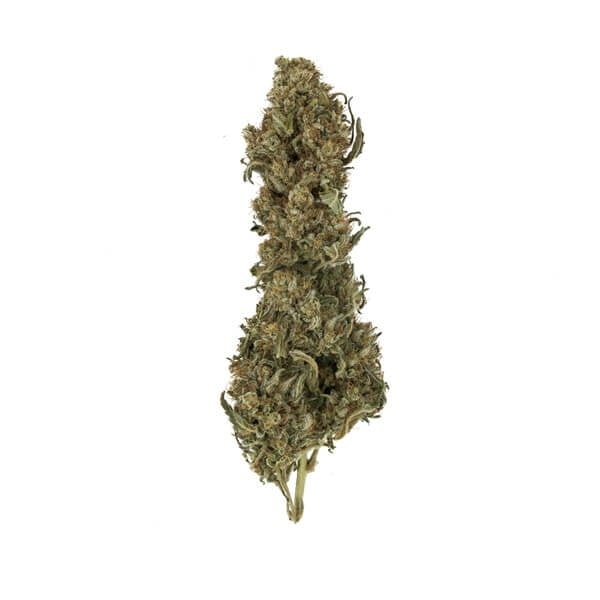 Royal Queen Seeds Cannabis Seeds Royal Medic Feminized (augsts CBD)