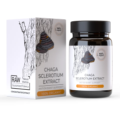 Endoca Chaga Mushroom Extract, 30 capsules