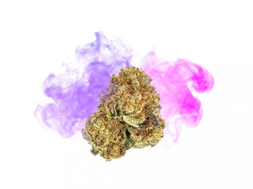 HHC-kukka Purple Queen 40 %, 100 g – 10 000 g