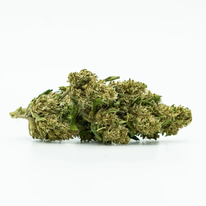 CBD Greenhouse Flower Sweet Mango 10 %, 1 g - 100 g