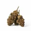 Euphoria CBD Weed Greedy Pig, 100g