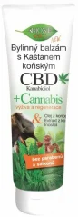 Bione Bylinný balzám s Kaštanem koňským CBD Kanabidiol 300 ml
