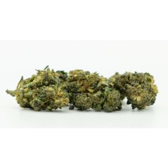 CBN květ Strawberry Cough - 50 % CBN, 100 g - 10 000 g