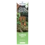 Canntropy CBNO vienreizējās lietošanas Vape Pen Sour Tangie, CBNO 94% kvalitāte, 1 ml