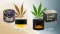On the left CBD distillate, on the right live resin, cannabis leaves in the background, Canatura logo in the bottom right corner