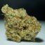 T.H.Seeds™ Cannabis Seeds Stracciatella™, various pack, feminized