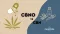 CBNO vs CBN
