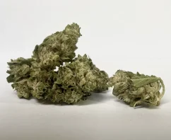 CBG Цветне кокице, 1 кг - 100 кг