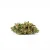 HHCPM Flower Amnesia 10%, 100g - 5 000g