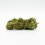 CBD Zieds Greenhouse Liofilizēts / Kriogēnisks, 100 g - 10 000 g