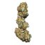 Royal Queen Seeds Cannabis Seeds Wedding cake Feminized