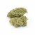 H4CBD Flower Durban Poison 60% H4CBD, 100 g - 10 000 g