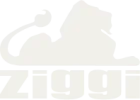 Ziggi