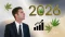 European Cannabis Market in 2026 – What to Prepare For?