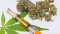 HHC, HHC-O, HHC-P: What is the power of the new cannabinoids and how to offer them to customers?