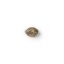 The Bulldog Seeds TB Sour Diesel Regular, 3 and 5 pcs