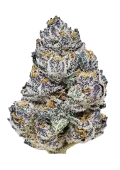 Fast Buds Cannabis Seeds Rainbow Melon Feminized