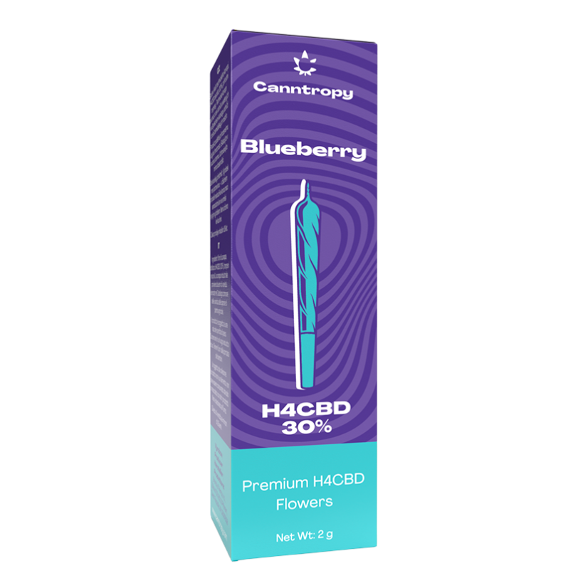 Canntropy H4CBD Prerolls Blueberry, 30 % H4CBD, 1,5 g - Display box, 10 gab.