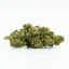 CBD Greenhouse Flower Sweet Mango 10 %, 1 g - 100 g