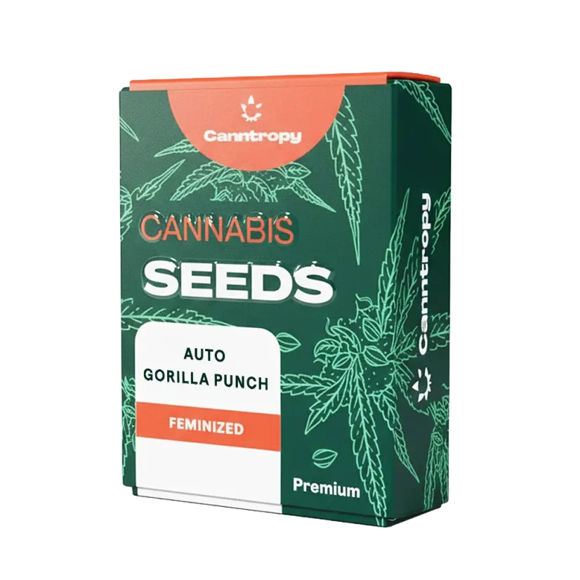 Canntropy Seeds Auto Gorilla Punch (Autoflowering)
