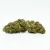 CBD gróðurhúsblóm Northern Light 11 %, 1 g - 100 g