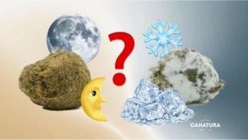 Moon Rock и Ice Rock — опис, поређење, B2B понуда