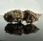Czech CBD THCD kaņepju ziedu kāzu torte, 1 g - 1000 g
