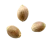 Cannabisfrø
