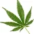 H4CBD производи