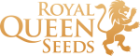 Royal Queen Seeds