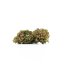 HHC-kukka Purple Queen 40 %, 100 g – 10 000 g