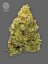 The Bulldog Seeds TB Lemon Haze Auto, 3 un 5 gab