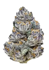 Fast Buds Cannabis Seeds Rainbow Melon Feminized