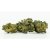 CBN květ Tangie - 30 % CBN, 100 g - 10 000 g